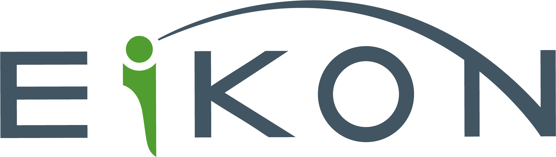 EIKON Consulting Group Logo